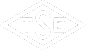 TSE Logo